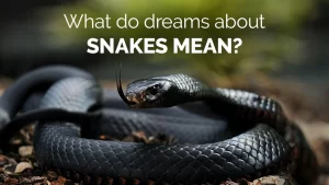 Dreams About Snakes: Every Possible Meaning