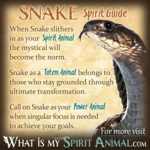 Dreams About Snakes: Every Possible Meaning