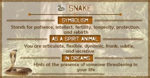 Dreams About Snakes: Every Possible Meaning