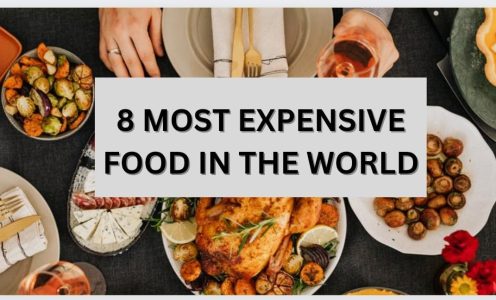 8 MOST EXPENSIVE FOOD IN THE WORLD