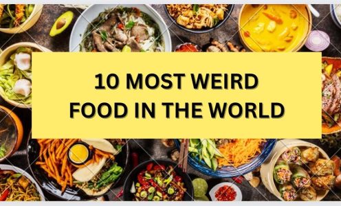 TOP 10 WEIRD FOOD IN THE WORLD