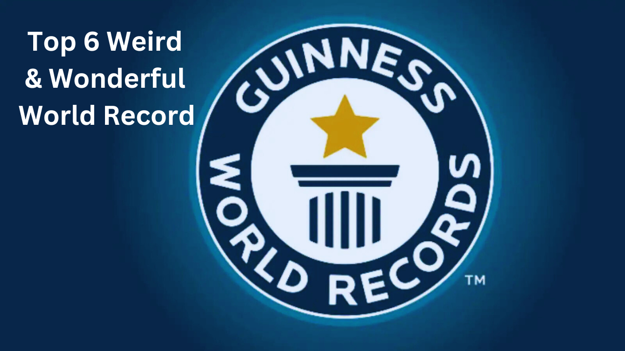 Top 6  Weird & Wonderful World Record