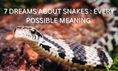 7 Dreams About Snakes: Every Possible Meaning